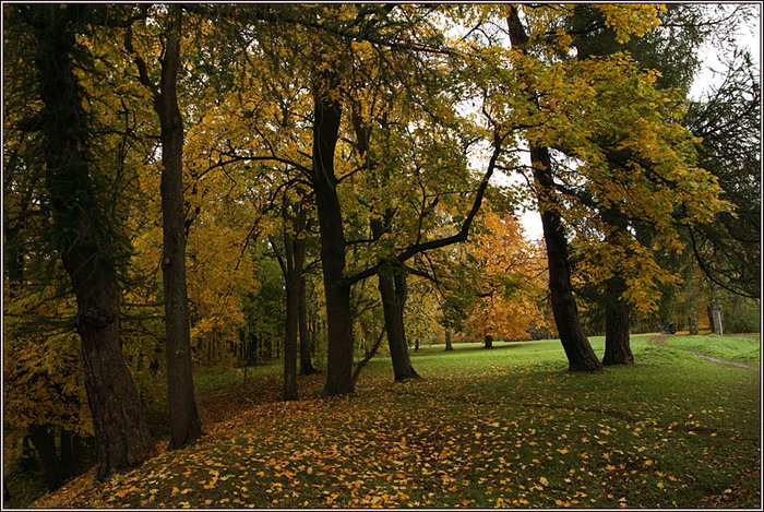 Oranienbaum Lomonosov or park11 (700x469, 174Kb)