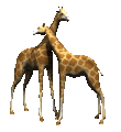 4893934_0b0651805e90d8c68534af4b9e22b1f7 (110x120, 22Kb)