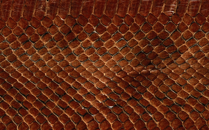 Textures_wallpapers_243 (700x437, 325Kb)