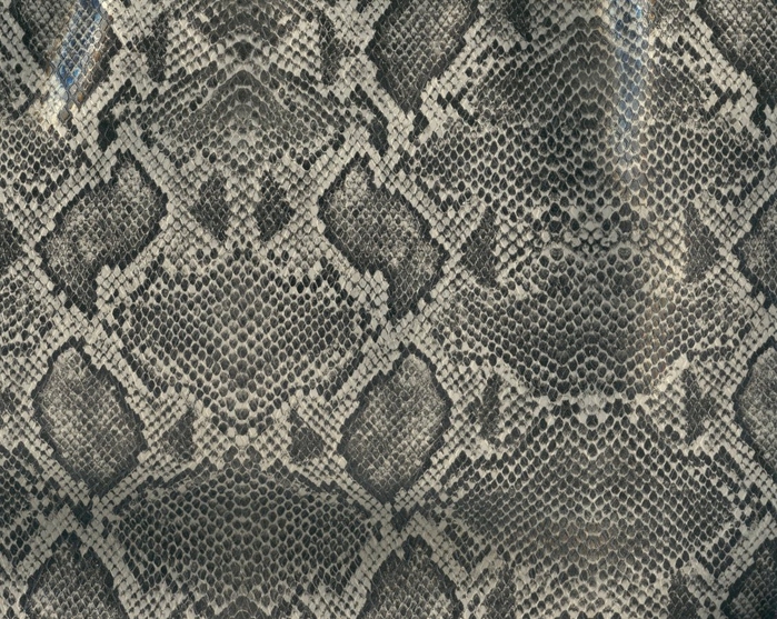 Snake_skin___gray_and_black_by_paintresseye (700x557, 395Kb)