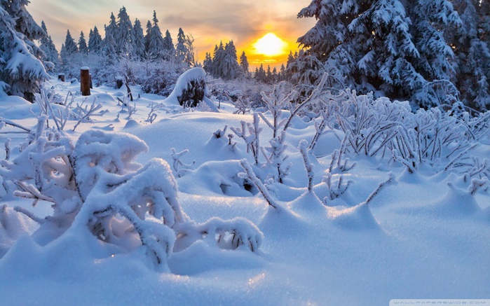 Подарки на День рождения сделанные своими руками Печать открыток - Lovelycards