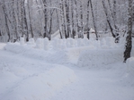  DSC02210 (700x525, 248Kb)