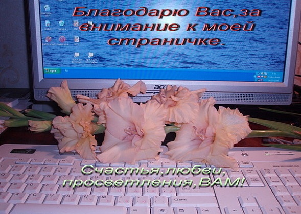 Поздравления виртуального друга