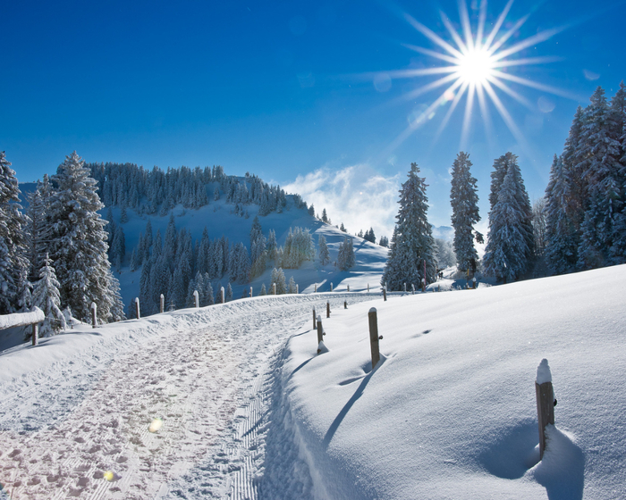 Nature_Seasons_Winter_Winter_road_029477_ (700x560, 488Kb)