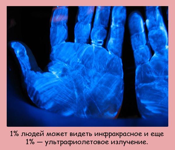 95418754_fakti_02 (600x516, 64Kb)