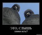  00A09402DC8F_93.186.238.161_80.81.218.194_001910 (580x479, 43Kb)