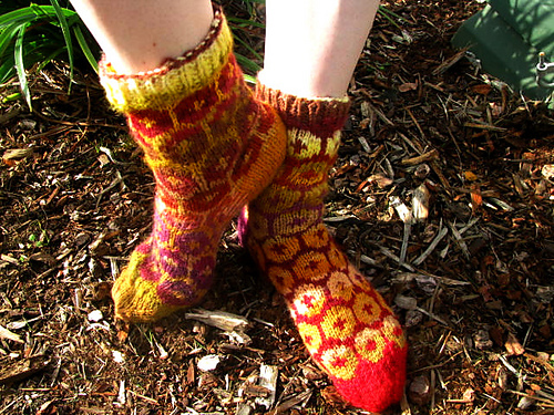 socks2_medium (500x375, 221Kb)