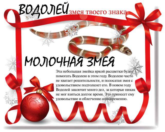 Поликлиника номер 1 г череповец