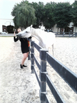  P141212_16.52 (525x700, 319Kb)
