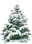 0_6dd03_a8f10b8_S.jpg (110x150, 36Kb)