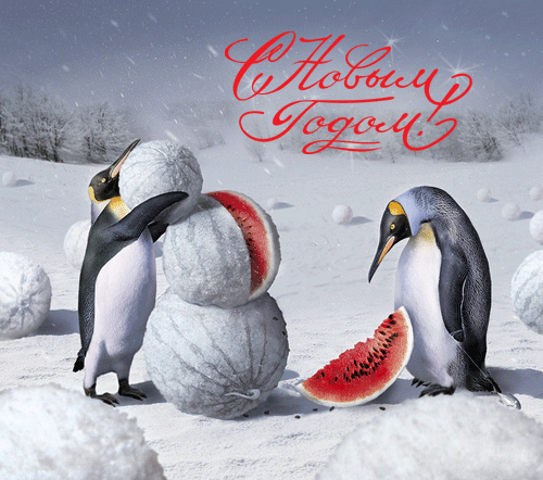 card-with-penguins (500x442, 167Kb)