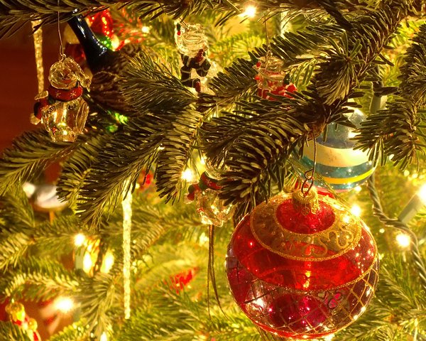 9 (600x480, 112Kb)