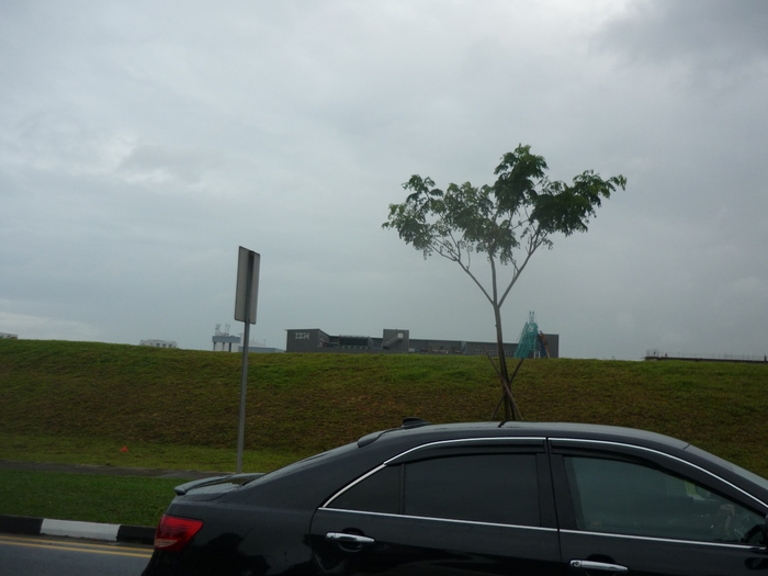 Быков: Сингапур больше не лимоново-банановый  - фото 13