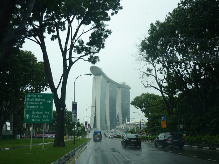 Быков: Сингапур больше не лимоново-банановый  - фото 20