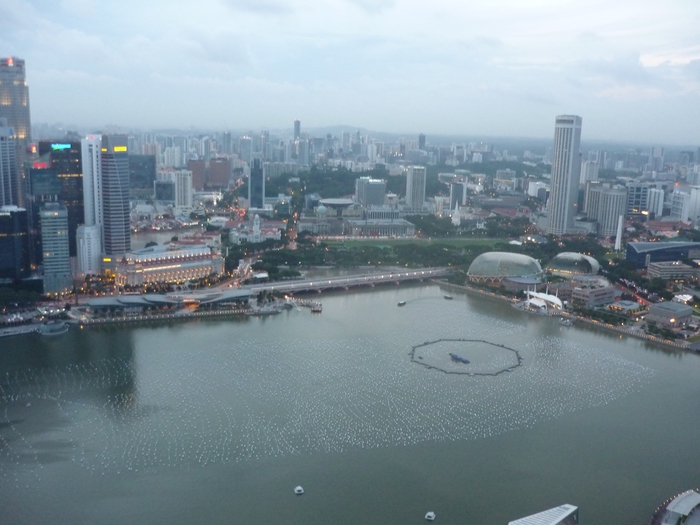 Быков: Сингапур больше не лимоново-банановый  - фото 73
