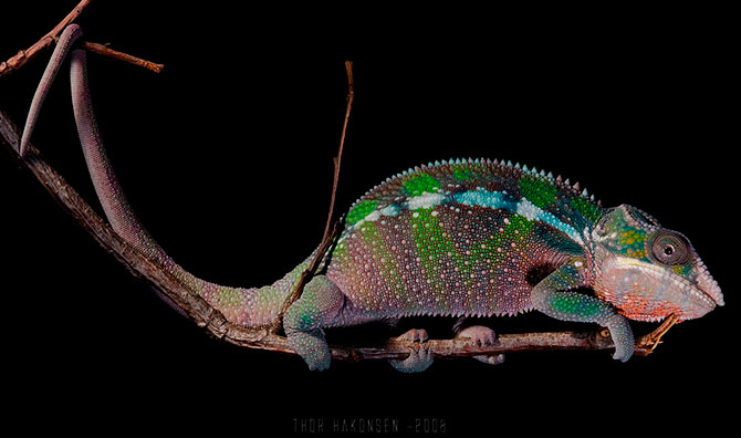 10 (670x396, 49Kb)