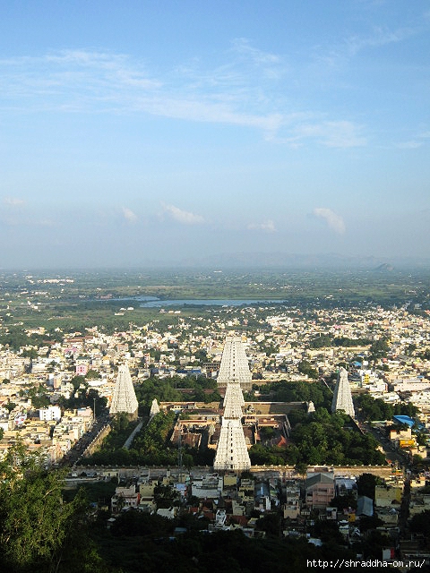 Индия, Тируваннамалай, 2012, 16 (480x640, 262Kb)