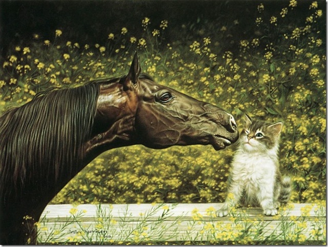 leyharrison_5 (641x484, 128Kb)