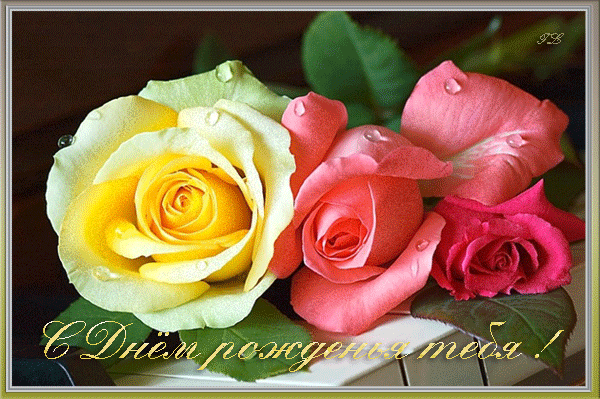 50277200_s_dnyom_rozhdenya_tebya_rozochki (600x399, 220Kb)