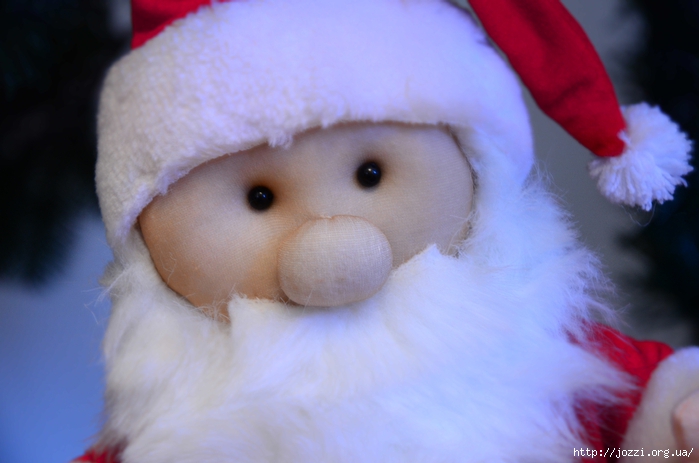 DSC_0072 (700x463, 178Kb)