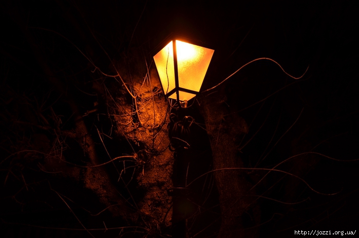 DSC_0157 (700x463, 164Kb)