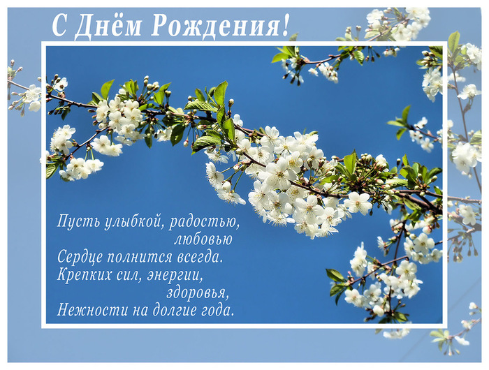 Креативное кресло из фанеры своими руками 98
