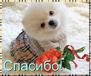 http://img0.liveinternet.ru/images/attach/c/7/96/28/96028166_0_76298_f750b247_M.gif