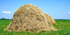 im_20130115135451_5074 (300x150, 27Kb)