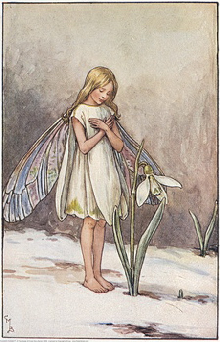 Цветочные феи от Cicely Mary Barker Обсуждение на Блоги на Труде