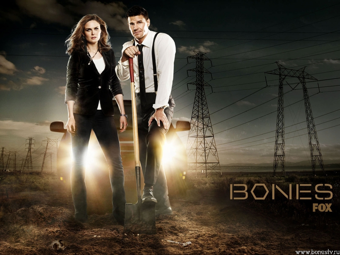 3394972_David_Boreanaz80_1_ (700x525, 261Kb)