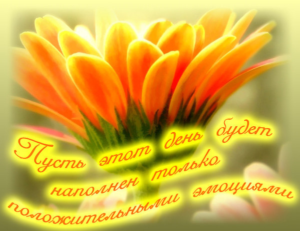 http://img0.liveinternet.ru/images/attach/c/7/96/527/96527588_ZHelayu_polozhitelnuyh_yemociy.jpg