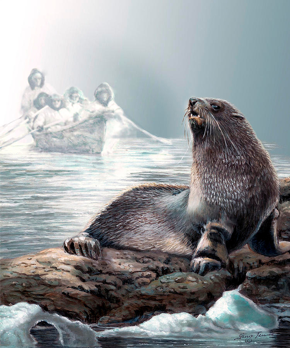 Seal on Icy shores (583x700, 445Kb)