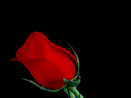 2a8bc4aba0ed77b4522706bdd0f62421 (144x108, 25Kb)