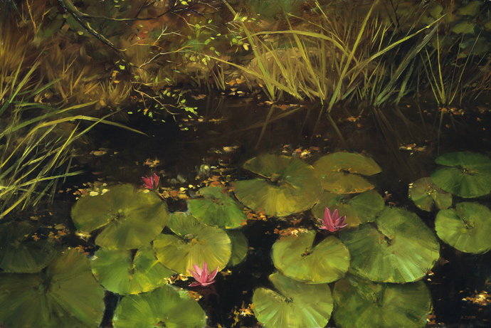 63984123_1284404260_fall_waterlilly_large (690x461, 175Kb)