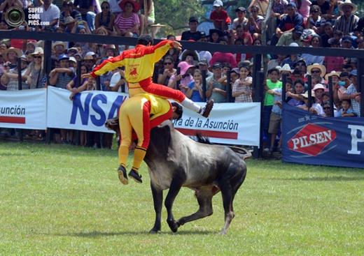 Фестиваль «Традиционный Мисьонес». Родео в Парагвае