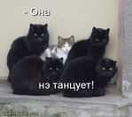  foto24_large (700x625, 43Kb)