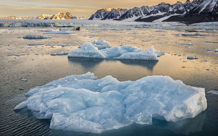 Айсберги и ледники Арктики