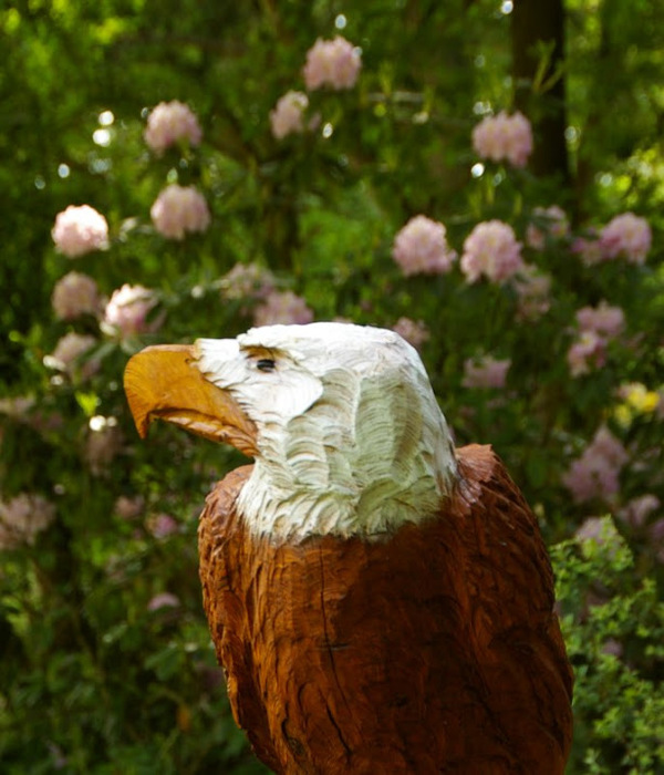 Рододендроновый парк-Westerstede Rhododendronpark. 99499