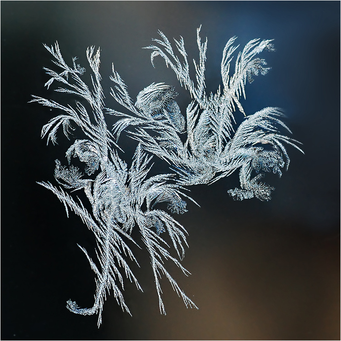 3303834_uzor_19 (700x699, 355Kb)