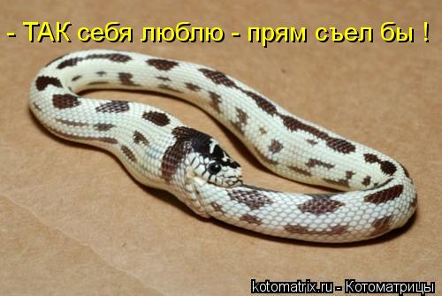 4800487_769952 (500x335, 31Kb)