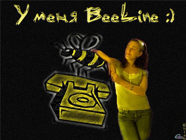 sm_market_img-5206 (640x480, 78Kb)