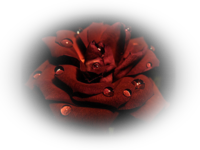 0b1c79fd196db64a96a87e7aad430437 (200x150, 32Kb)