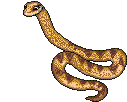 snake2 (127x102, 12Kb)