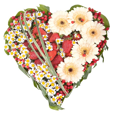 сердце из цветов (10) (460x460, 95Kb)