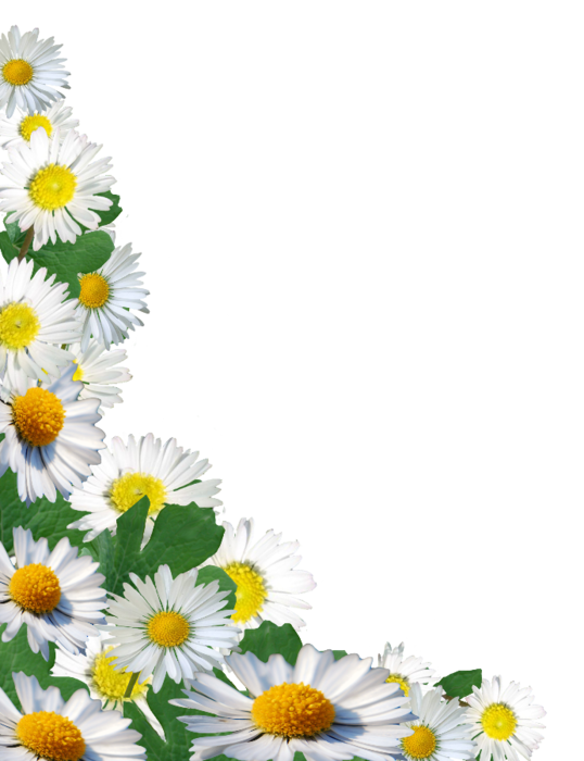 97325080_flowers_3.png