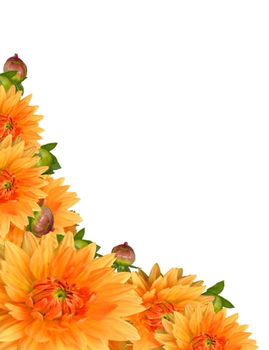97325082_flowers_4.png