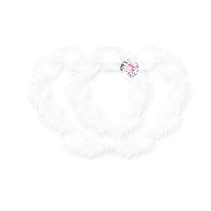 97398908_CharlieNco_Sweet_Valentine_Featherheart.png