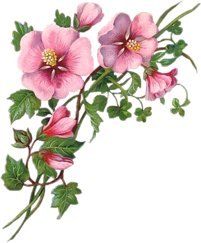 97507482_CAJSCRFR_EMBEL_FLEUR_1.png