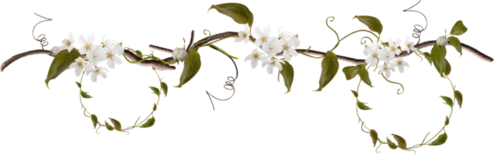 97507486_StrawberriesDesigns_ParadiseFrutis_element_55.png