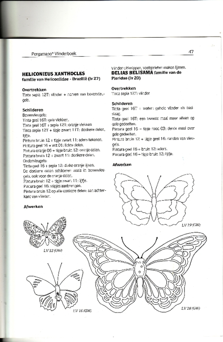 pergamano vlinders_0022 (456x700, 159Kb)